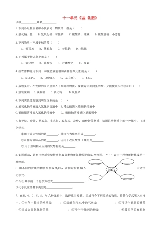 九年级化学下册 第十一单元 盐 化肥复习检测 新人教版试卷
