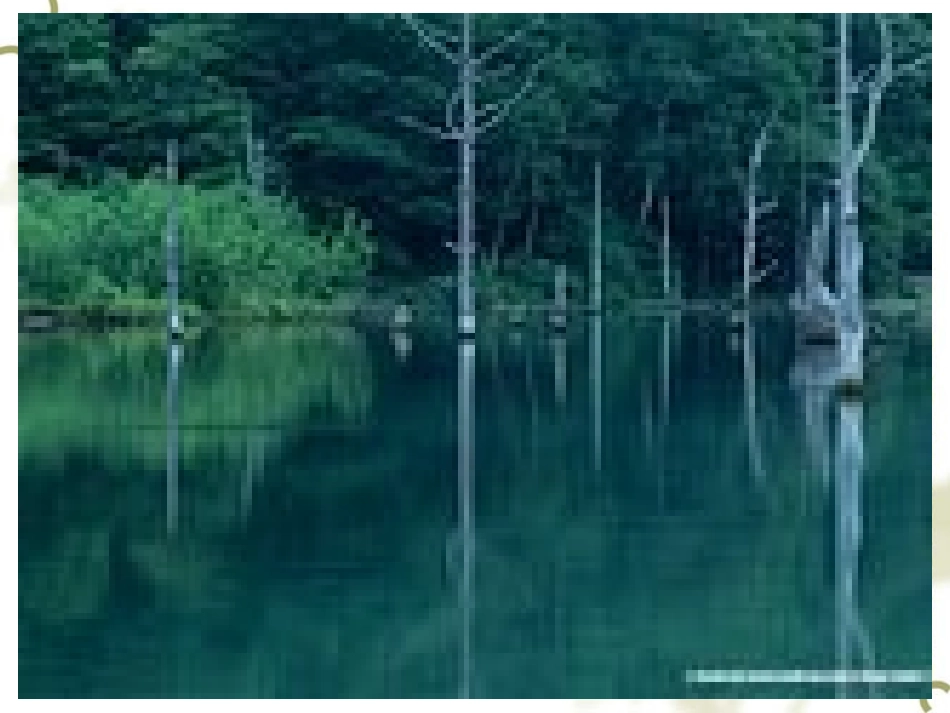 同底数幂的乘法-_第1页