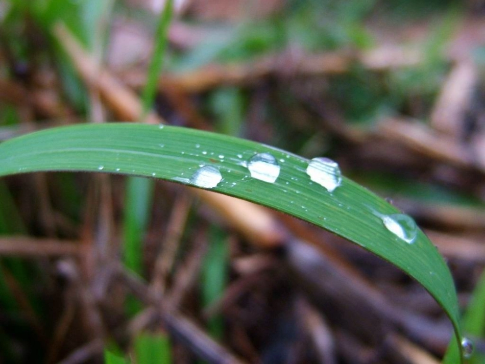 2.1--物质的三态-温度的测量_第3页