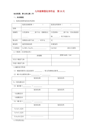 九年级化学上学期寒假作业 第16天 鲁教版试卷
