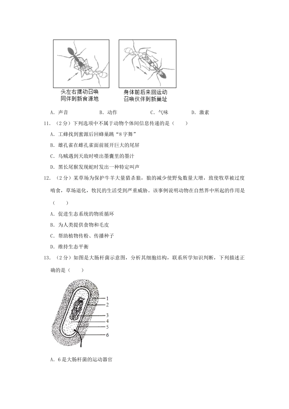 山东省临沂市兰陵县 八年级生物上学期期中试卷试卷_第3页