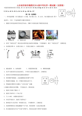 山东省济南市槐荫区中考化学一模试卷试卷