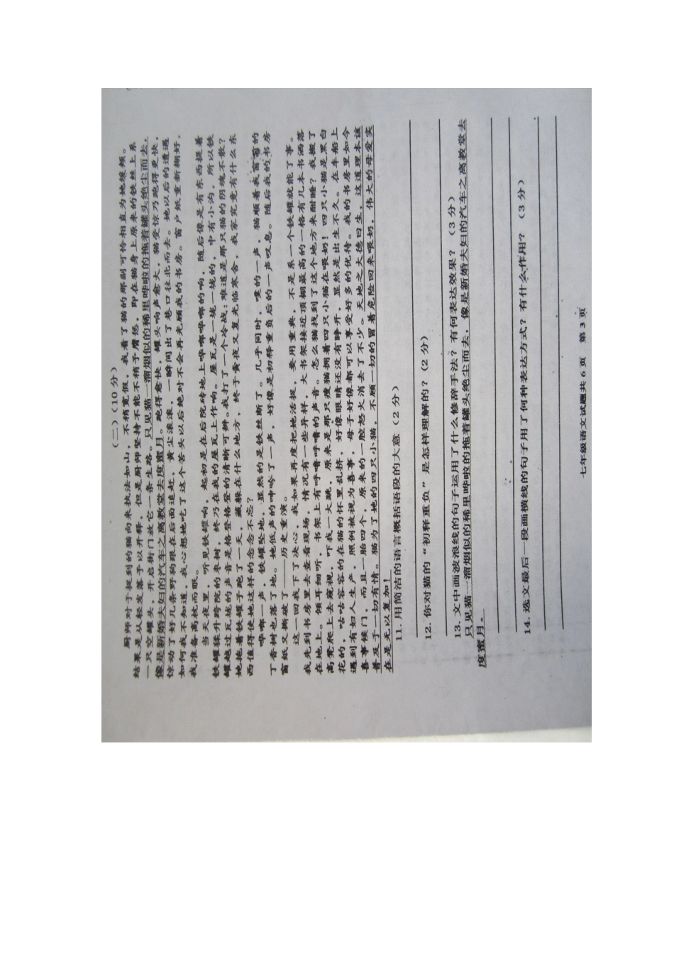 山东省枣庄市山亭区七年级语文12月月考试卷试卷_第3页