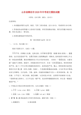 山东省潍坊市中考语文模拟试卷
