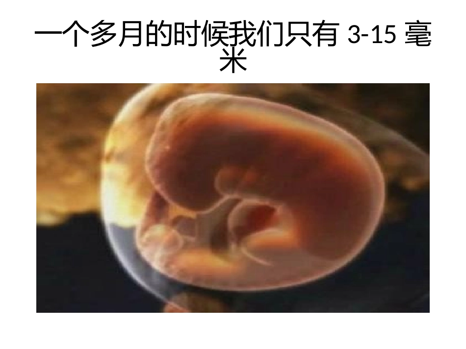 我们的生命1_第2页