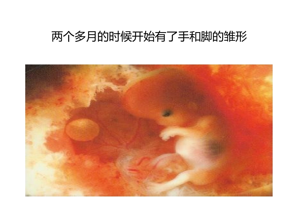 我们的生命1_第3页