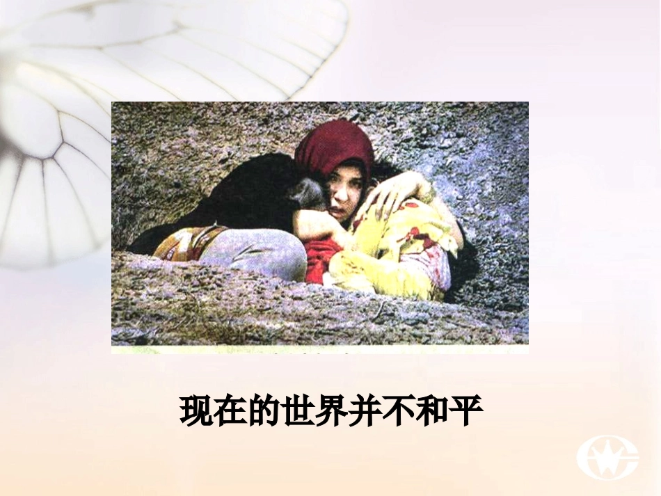 六语文上《企盼世界和平的孩子》(1)_第3页