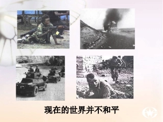 六语文上《企盼世界和平的孩子》(1)