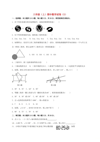 山东省济宁市邹城市 八年级数学上学期期中复习试卷(5) 新人教版试卷