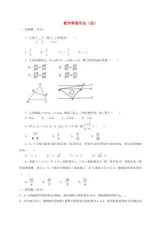 九年级数学上学期寒假作业(四) 苏科版试卷