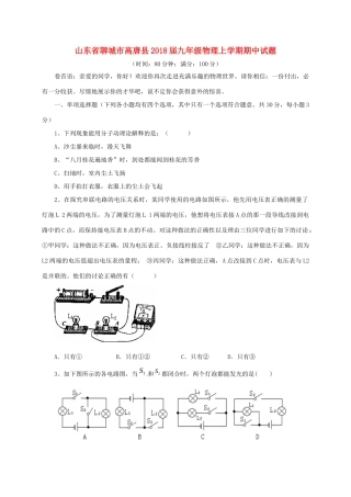 山东省聊城市高唐县九年级物理上学期期中试卷 新人教版试卷