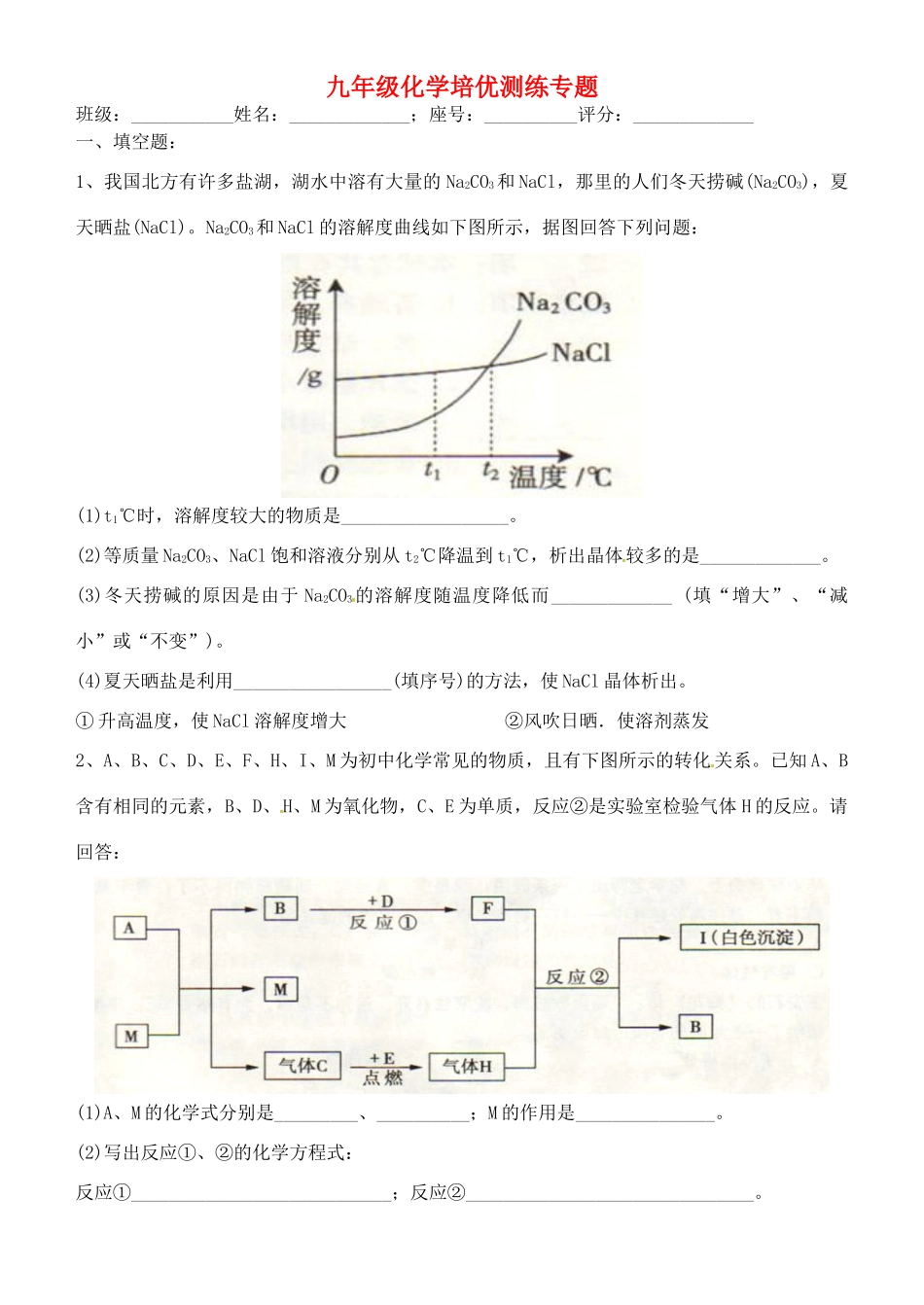 九年级化学培优测练专题(一) 新人教版试卷_第1页