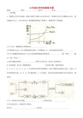 九年级化学培优测练专题(一) 新人教版试卷