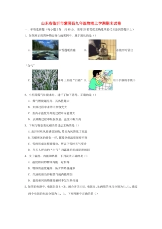 山东省临沂市蒙阴县九年级物理上学期期末试卷试卷