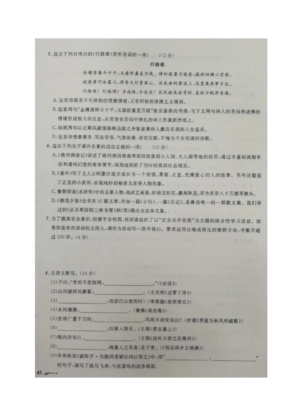 中考语文模拟卷(十二)试卷_第2页