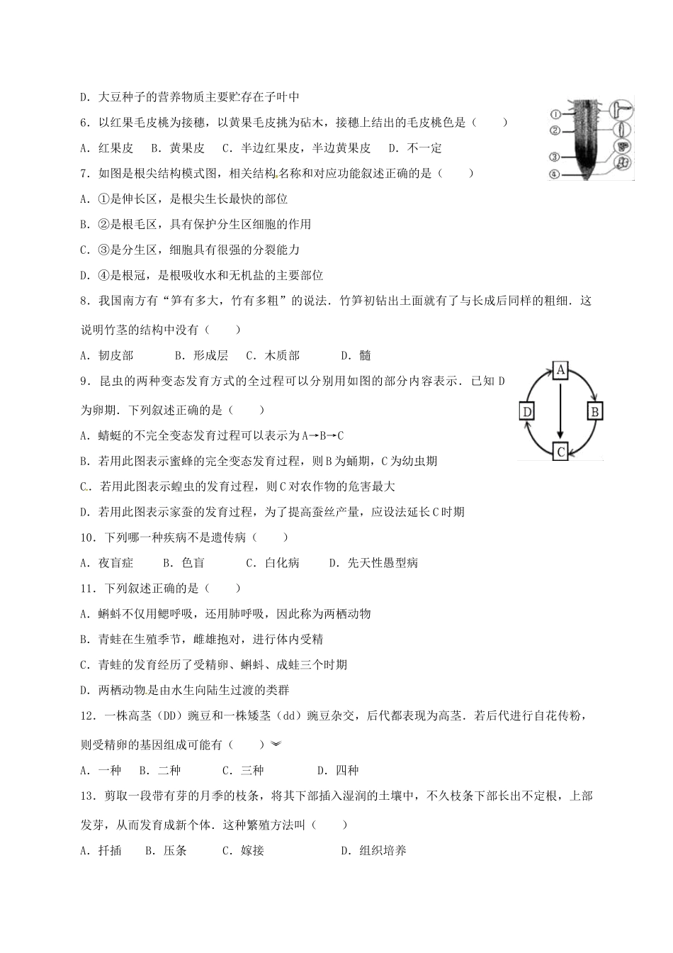 山东省滨州市博兴县 八年级生物上学期期中试卷 济南版试卷_第2页