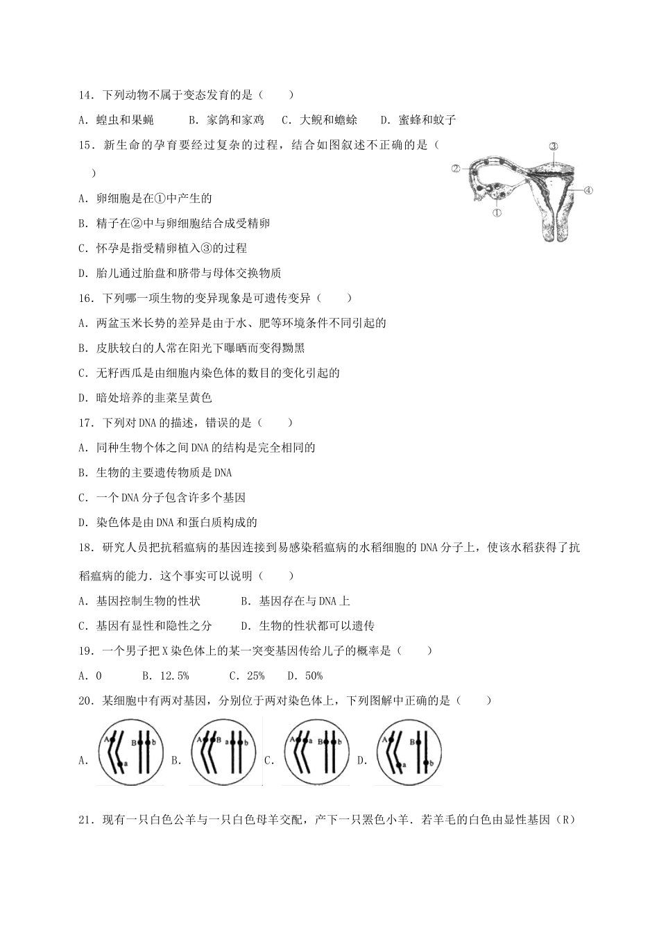 山东省滨州市博兴县 八年级生物上学期期中试卷 济南版试卷_第3页