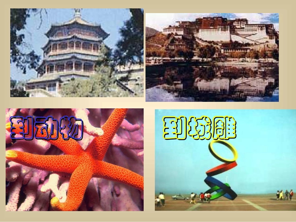 §4.1.1几何图形_第3页