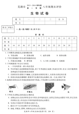 安徽省芜湖市八年级生物第一学期期末评价试卷(pdf) 新人教版试卷