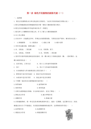 中考生物复习课外作业 第一讲 绿色开花植物的新陈代谢(一)试卷