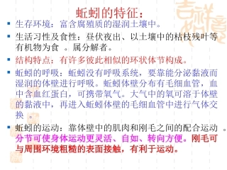 陆生动物小结