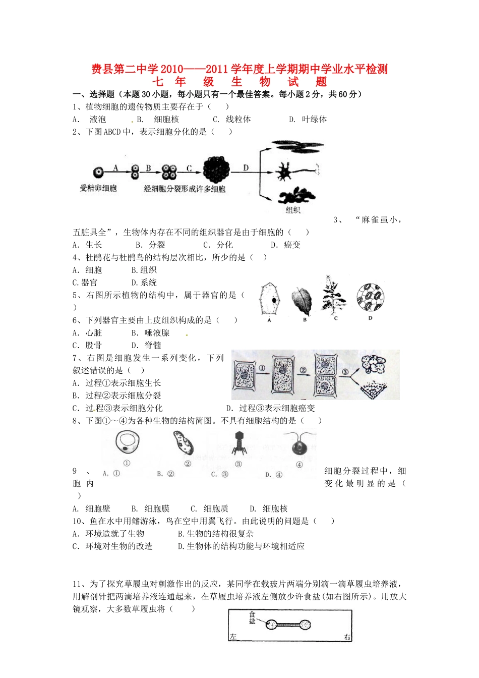 山东费县二中七年级生物上学期期中考试试卷_第1页
