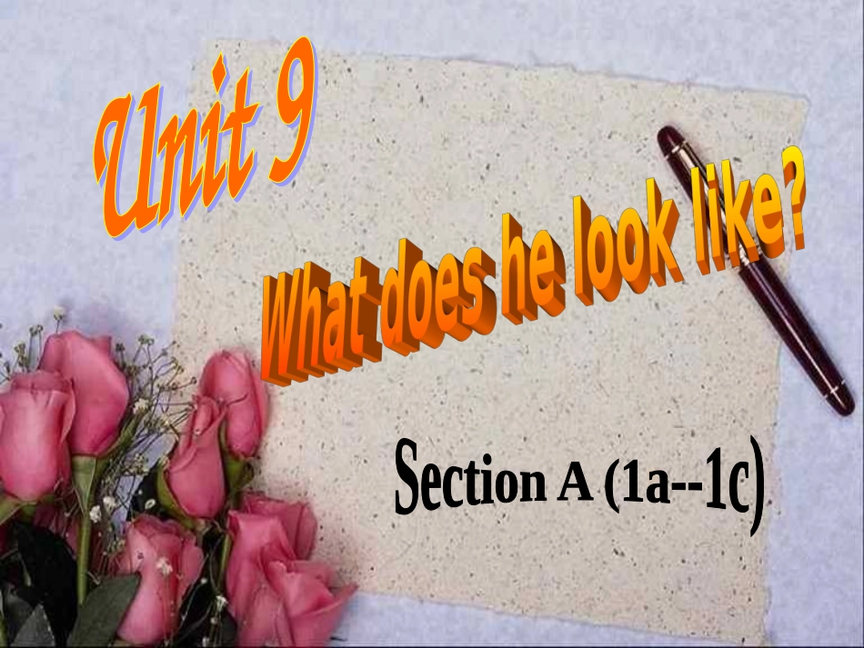 what-does-he-look-like课件_第1页