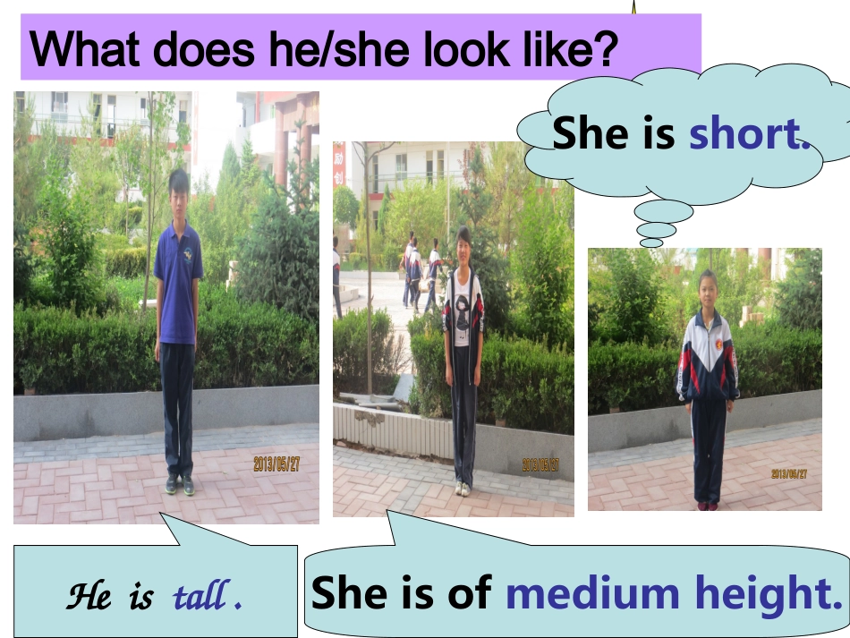 what-does-he-look-like课件_第2页