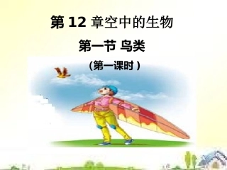 第1节鸟类-(3)