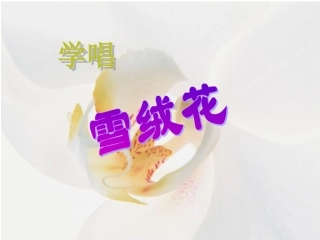 雪绒花讲课课件