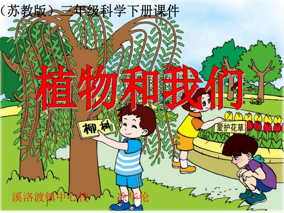 4植物和我们_第1页