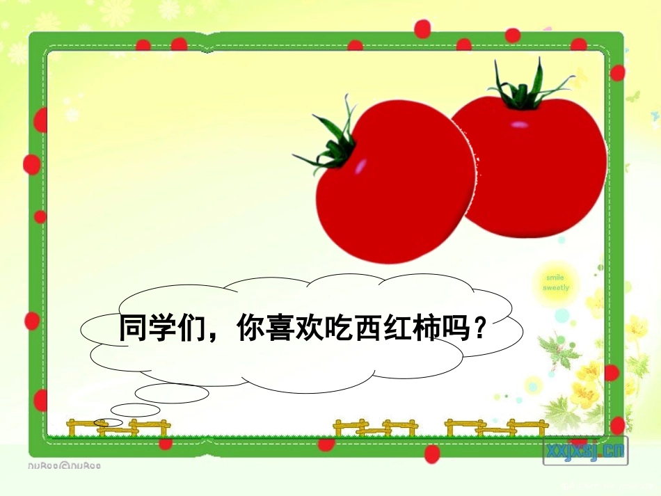 4植物和我们_第2页
