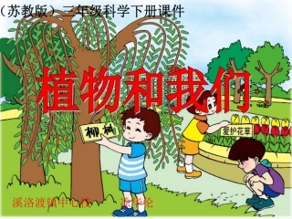 4植物和我们