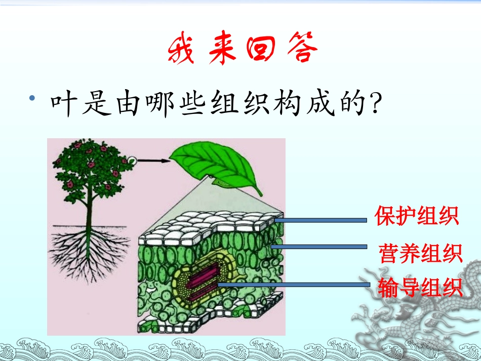 第三节多细胞生物体_第3页