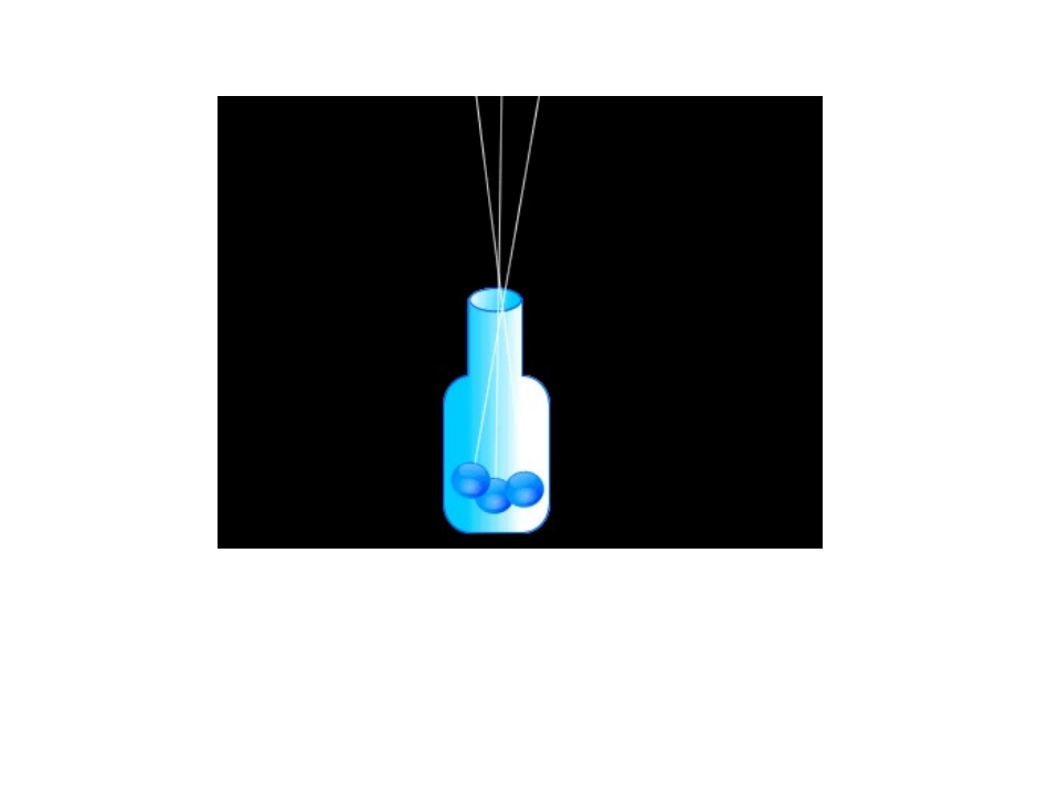 30一次成功的试验2_第2页