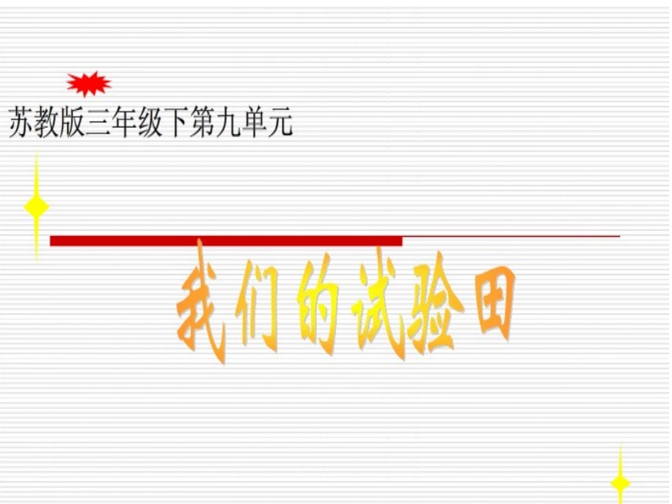 我们的实验田(黄雯)_第1页