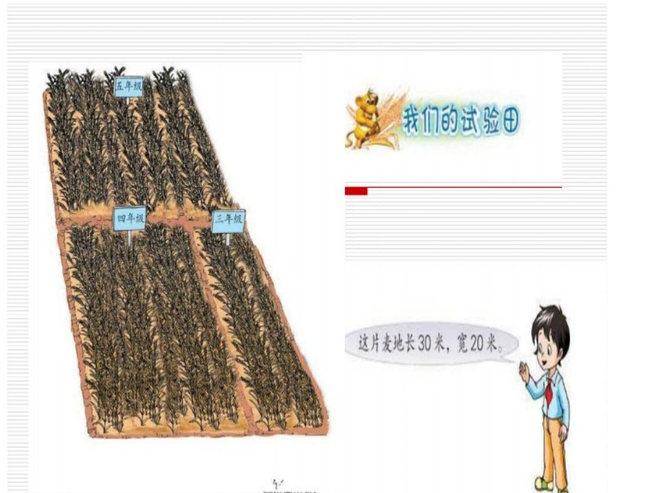 我们的实验田(黄雯)_第2页