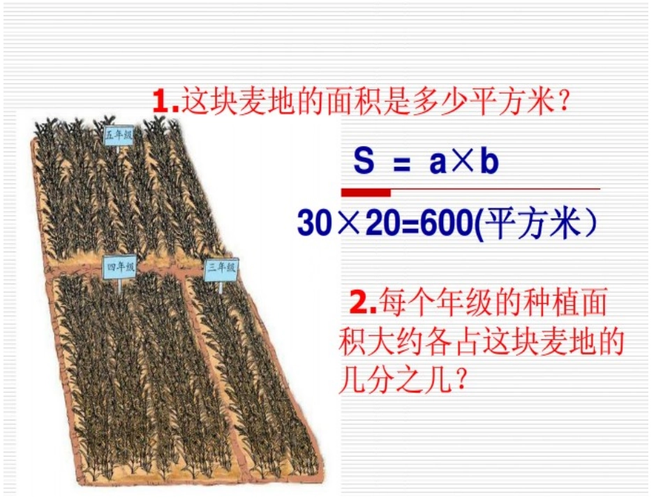 我们的实验田(黄雯)_第3页