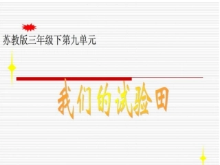 我们的实验田(黄雯)