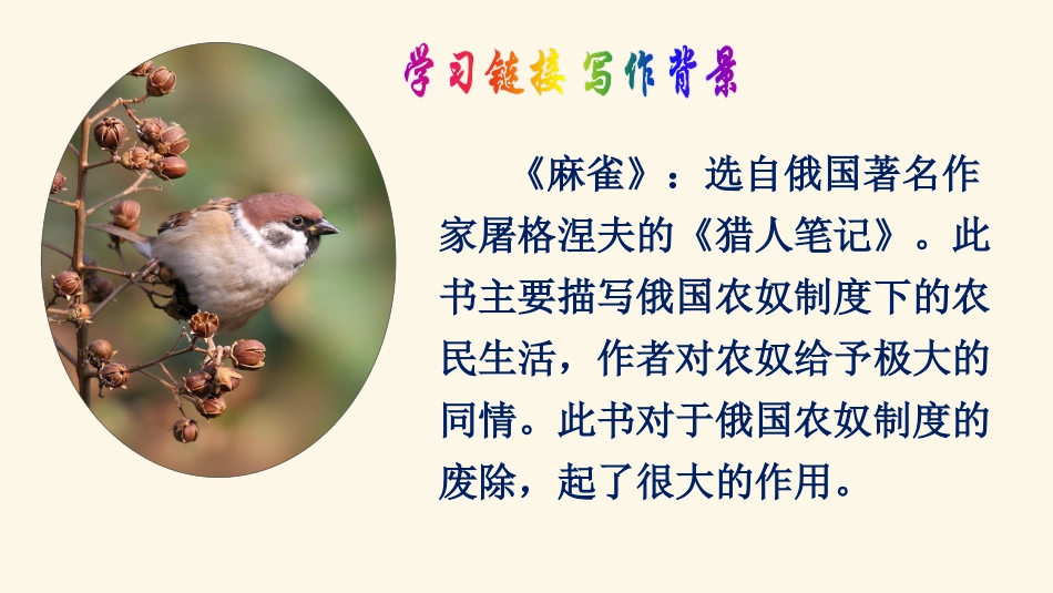 13麻雀定稿_第2页