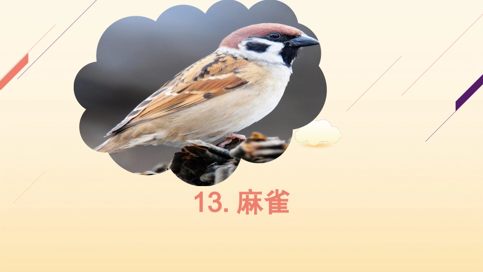 13麻雀定稿_第3页