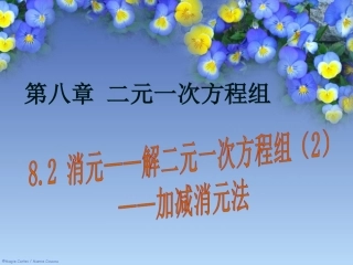 解二元一次方程组----加减消元法-(3)