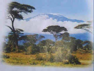 第三节撒哈拉以南的非洲