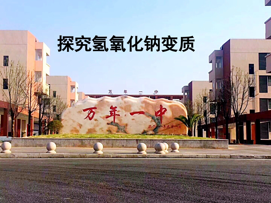 探究氢氧化钠变质_第1页