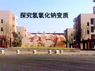 探究氢氧化钠变质