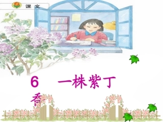 5一株紫丁香-第二课时