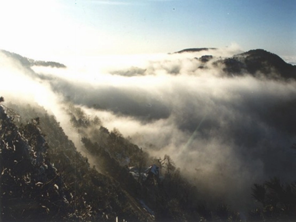 《庐山的云雾》_第3页