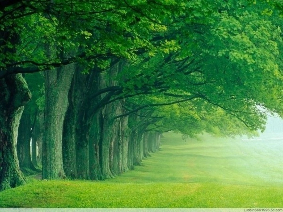 沁园春长沙课件-(2)_第1页