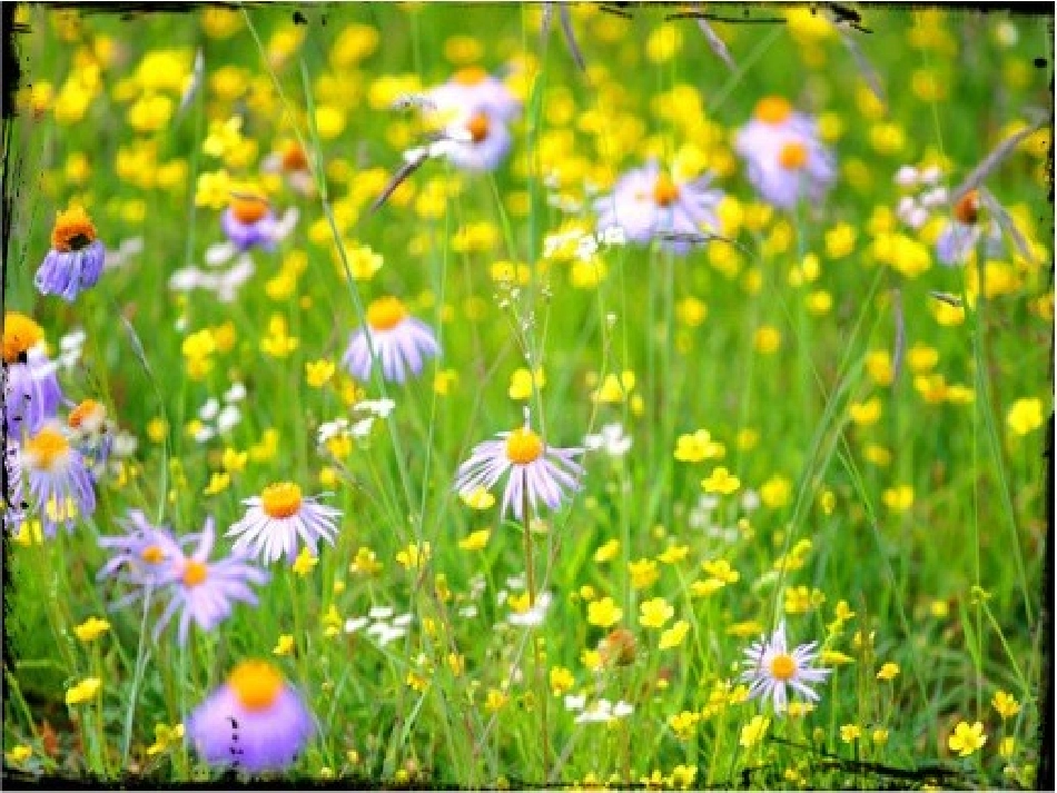 我不是最弱小的石杰_第3页