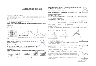 九年级数学相似形训练题